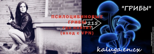 марки lsd Ельня