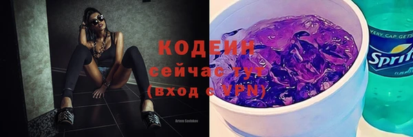 прущие крисы Елизово