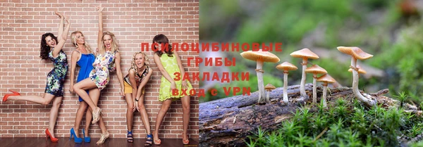 прущие крисы Елизово