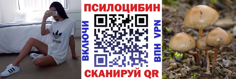 Псилоцибиновые грибы мухоморы  Купить закладки  Михайловка 